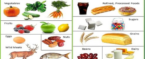 Paleo Recipe Cookbook