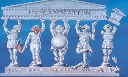 inflammation cartoon