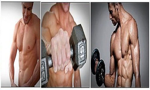 somanabolic-muscle-maximizer-pdf-review download